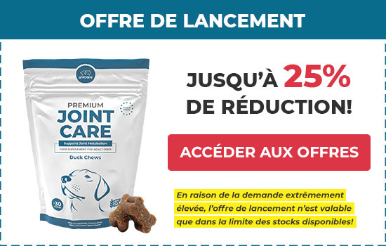 Coupon Anicare