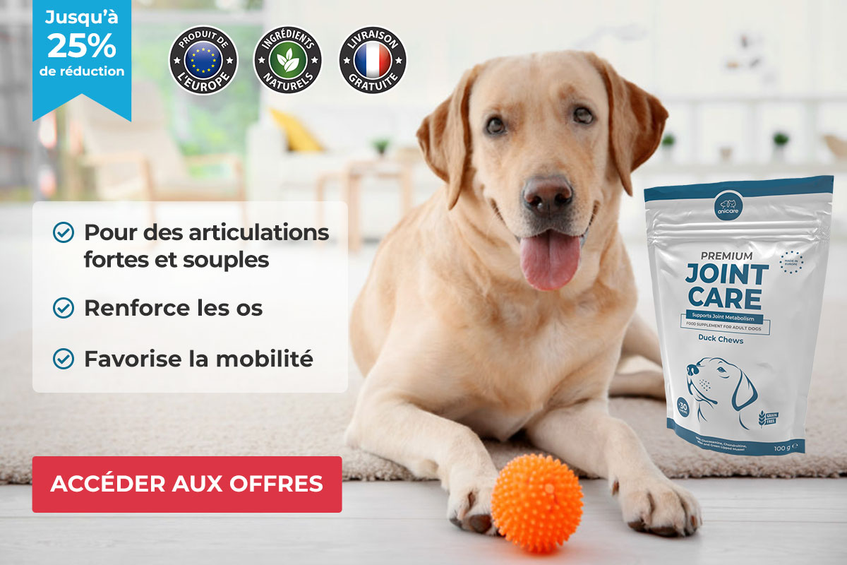 Premium Joint Care - Pour des articulations robustes et flexibles, renforce les os et favorise la mobilité